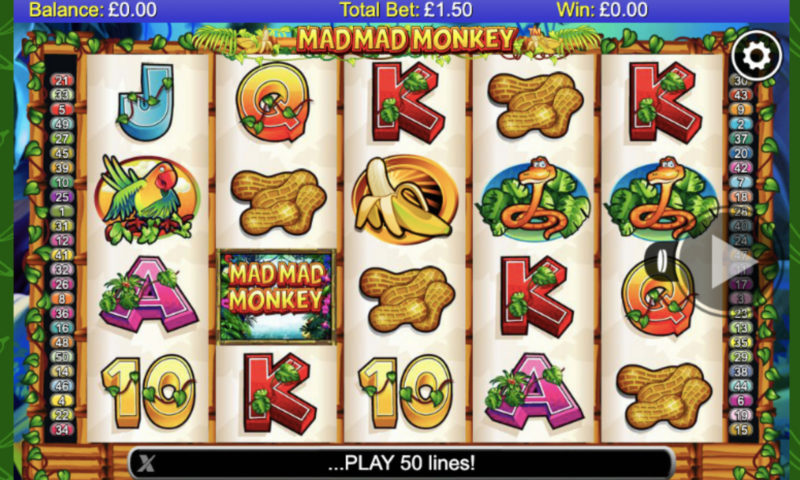 Mad Mad Monkey Slot